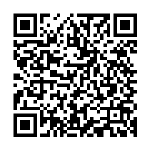 按照规矩许紫烟接下来的对手应该是综合实力排在倒第二的房龄二维码生成