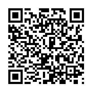 按理说……系统是不会指示这些神级boss四处活动的二维码生成