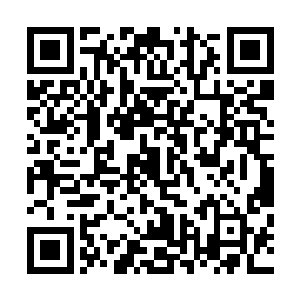 挑一些难见的珍奇送进宫去给父皇母后和母妃他们看个新奇二维码生成