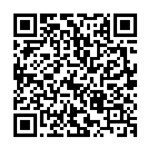 挤着坐在后排中间的小姐妹又利用地利之便观察每位嫂嫂的表情二维码生成