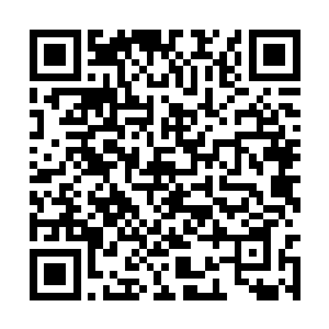 挨打的本事总要比那些手无缚鸡之力的文官强得多二维码生成