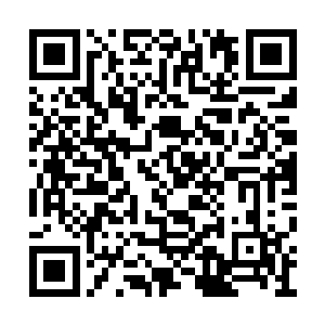 捕捞回来的鱼必须先进行简单的加工处理才可以二维码生成