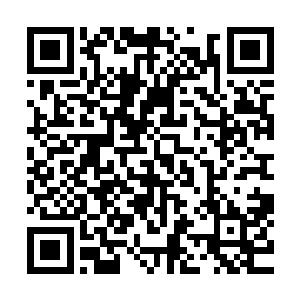 捡起地上的中性笔哆里哆嗦的在转让合同上签下了自己的大名二维码生成