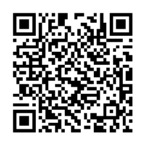 换个说法就是他们需要在上层建筑有他们的代言人二维码生成
