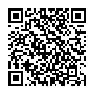 换做任何一个神游境在这种环境下都只有死无全尸的份二维码生成