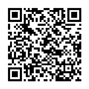 换做任何一个胆小的人哪怕不奔溃也没有胆子继续行走下去二维码生成