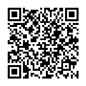 换好了弹夹的冲锋枪和突击步枪像是不要钱的鞭炮似的二维码生成