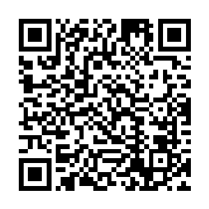 换来的结果就是我们龙家成为了华夏的四大家族之一二维码生成