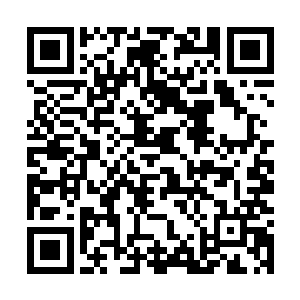 据我所知这位选手在s4版本更新后还短暂地打上过国服第一二维码生成