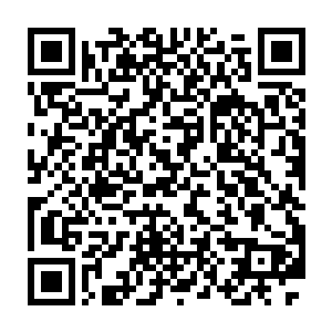 据说侍从官和行政人员都已经开始互相推卸向我汇报工作的职责了二维码生成