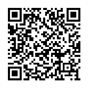 据说已全部被分尸――由于阿里刮没有带回活口二维码生成