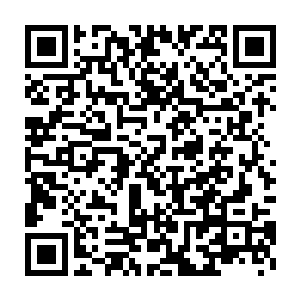 据说是昔年一代大帝焚天的藏宝之地……内里不但有大帝本人的传承二维码生成