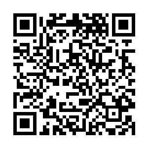 据说是那些举报的人主动过去跟巡查组的承认了错误二维码生成