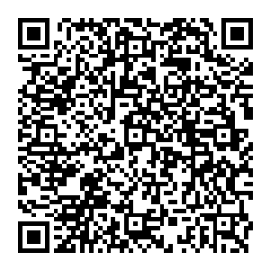 据说曼城俱乐部正在接触安切洛蒂和希丁克……曼城这次看上的都是世界级名帅了……他们显然也吸取了马克·休斯的经验教训卜…二维码生成