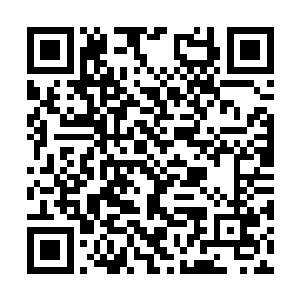 据说符魔界的陆地与海洋边界开始出现海水上涨了二维码生成