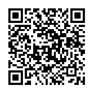 据说这胖爷和瘦爷根本没有动用真晶真元就干掉了对方二维码生成