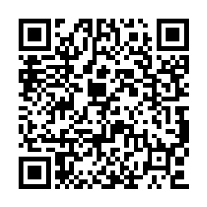 掌握了一些不被普通人理解的传统功夫的大人才二维码生成