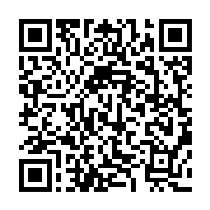 掌权者们终于意识到横扫全场改变战局的攻击来自对接宝具二维码生成
