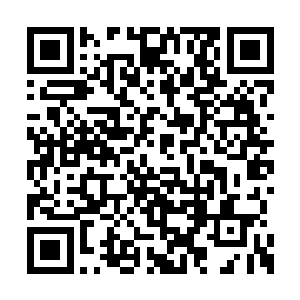 掌柜的赶紧叫人去找今儿端裴翠珍珠鱼的小厮来二维码生成