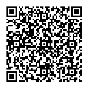 掌纹验证中……验证通过……瞳孔虹膜验证中……验证通过……安全信息通道许可授权……完毕二维码生成