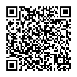 探讨了法治体系建设和执行落实对社会经济事业发展所起到的正面作用和效应二维码生成