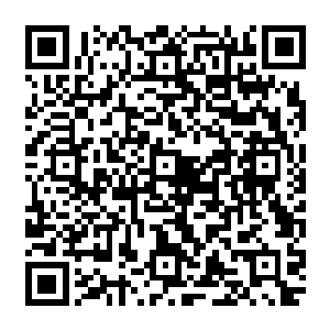 接下来就是五十多级的小号在皇城小豪这个满级号的带领下开始有组织的围剿外国党小号二维码生成