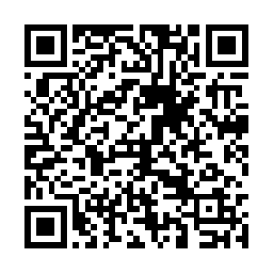 接下来的几天也没有干涉学生们做简单作文的复习二维码生成