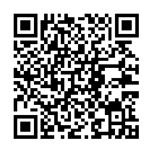 接受过长期生物训练的学生都对处死实验动物表现的很冷静二维码生成
