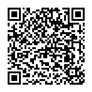 接收着从他书房那个不起眼的角落里安装的微型监控所传过来的画面二维码生成