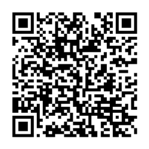 接着右手紧握着那古咒符文凝结的长鞭对着那抓来的大手便是猛地一鞭二维码生成