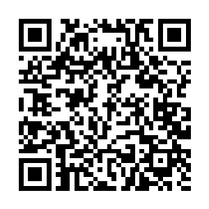 推着轮椅的男人都要上前一步制止巴克的无礼举动了二维码生成