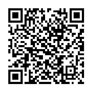 推门下车后快步走到了面朝医院大厅一侧的车门前二维码生成