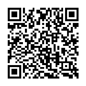 提升一小阶可不想普通修士提升一小阶那么简单二维码生成