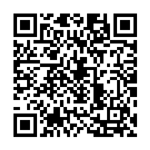 提升学校品牌的竞争力已经成了每年招生工作的重中之重二维码生成