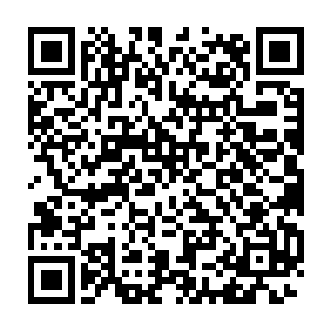 提名了那么多……估计最佳男女演员以及导演编剧应该是没问题的吧二维码生成