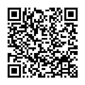 提醒我神迹世界里还有所有混沌域界的高层和全部修士二维码生成