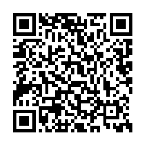 搞得他们都不敢去追求被主公任命为城主的愿望二维码生成