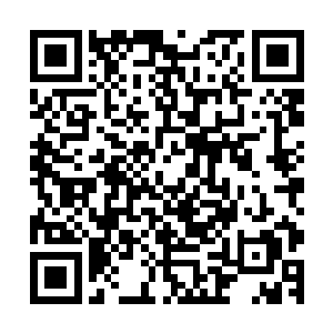 搞得白芷璃真的都要觉得是自己是一只母鸡或者是一只母鸟了二维码生成