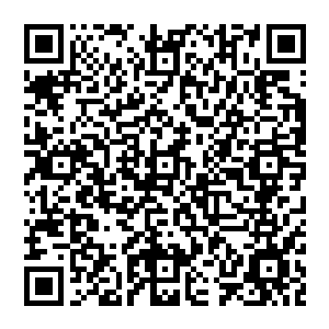 摆脱白小飞必然会来的报复--兔子和鸽子已经想到了自己死去的那一幕--被无数愤怒的召唤兽踩成二维码生成