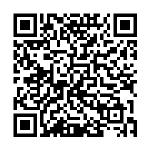 摇滚乐队巡演过程之中粉丝的过激行为也成为了热议焦点二维码生成