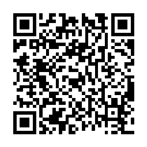 撒德界主知道我暂时无法召唤仙界这个最大的底牌二维码生成