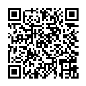 撒旦之手的信誉在整个杀手界绝对是首屈一指的二维码生成