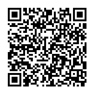 擎天柱……擎天柱……李教授这是要说他是戏剧舞台演出方面的擎天柱吗二维码生成