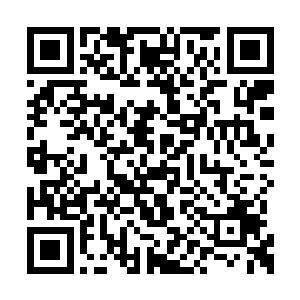 擒贼便是要……拿下皇贵妃您的首级替皇上报仇二维码生成