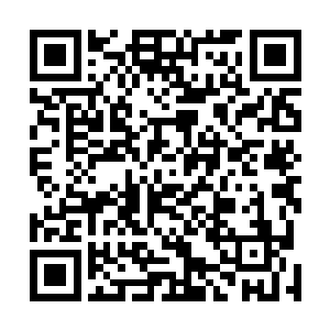 支撑着那支能够给予与天统学院他们正面相战的队伍归来二维码生成