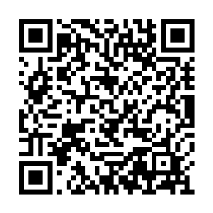 收获了驻守在阿塔勒布的全体官兵的友谊与尊重二维码生成