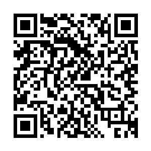 改版的五行元素法则比寻常的五行元素法则修炼起来速度快多了二维码生成
