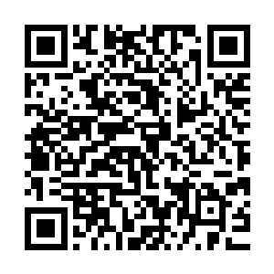 攻占清缴各路山头的洞主们以及随行征战的蓝玉门弟子陆续赶到二维码生成