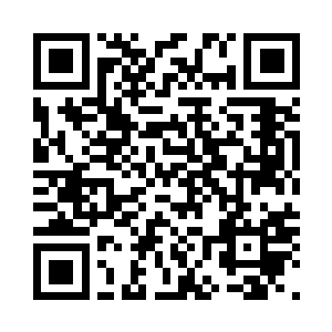 放在了专门用来放置魔宠的灵兽袋中二维码生成