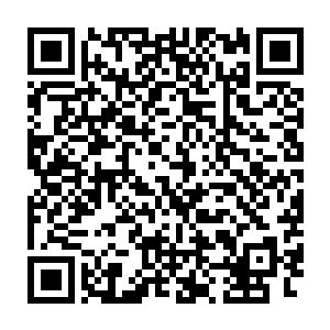 政法委书记王盛举带领警察和特警赶到杀手伏击欧阳志远他们的地方时二维码生成